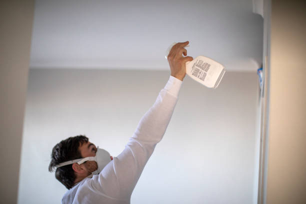 Best DIY Mold Remediation Support Services in Scow Mills, MO