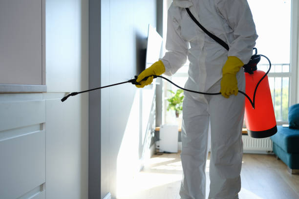 Best HVAC Mold Remediation in Scow Mills, MO